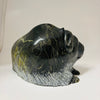 Pudlailik Shaa Muskox 22839