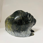 Pudlailik Shaa Muskox 22839