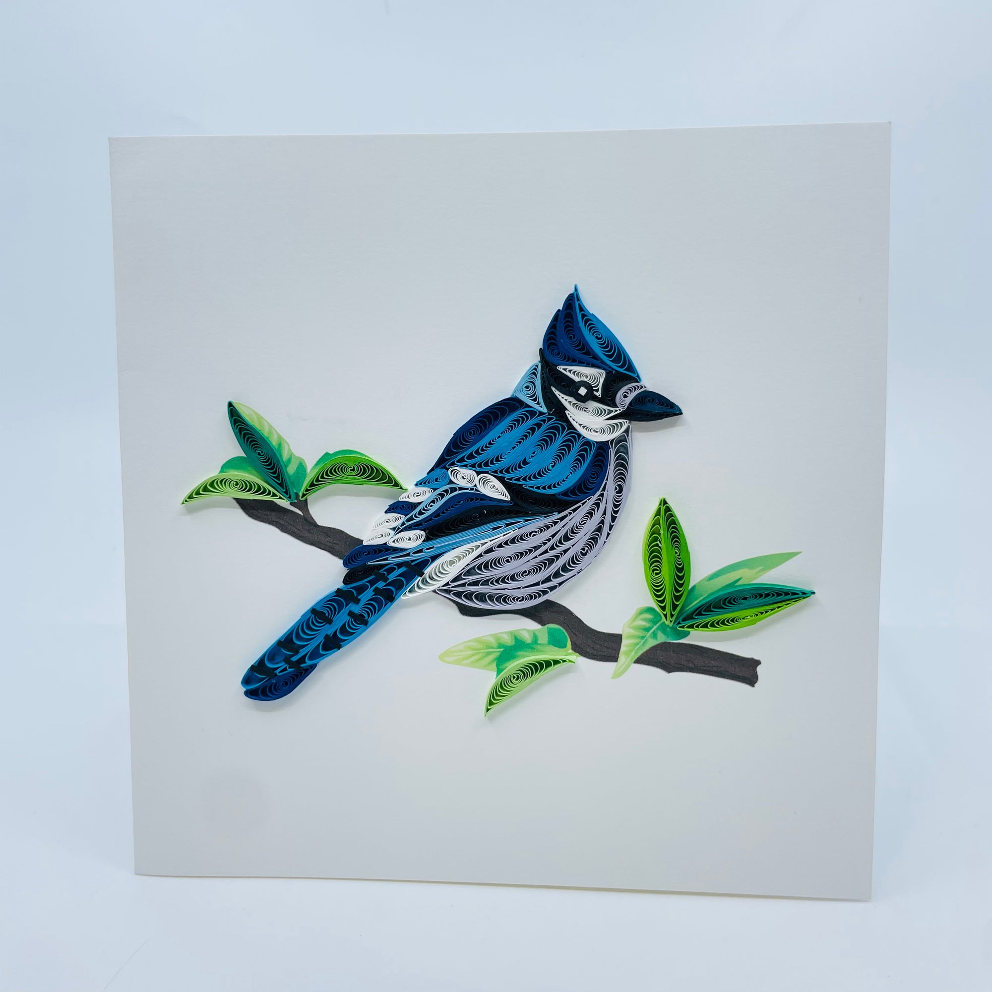 Quilling Art Card : Blue Jay - Quilling Art Card : Blue Jay -  - House of Himwitsa Native Art Gallery and Gifts