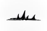 JACK WILLOUGHBY BLACK ORCA POD - Anvil Island Design Ltd. - Rolled Steel - House of Himwitsa Art Gallery