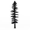 Jack Willoughby Black or Silver Sitka Trees Wall