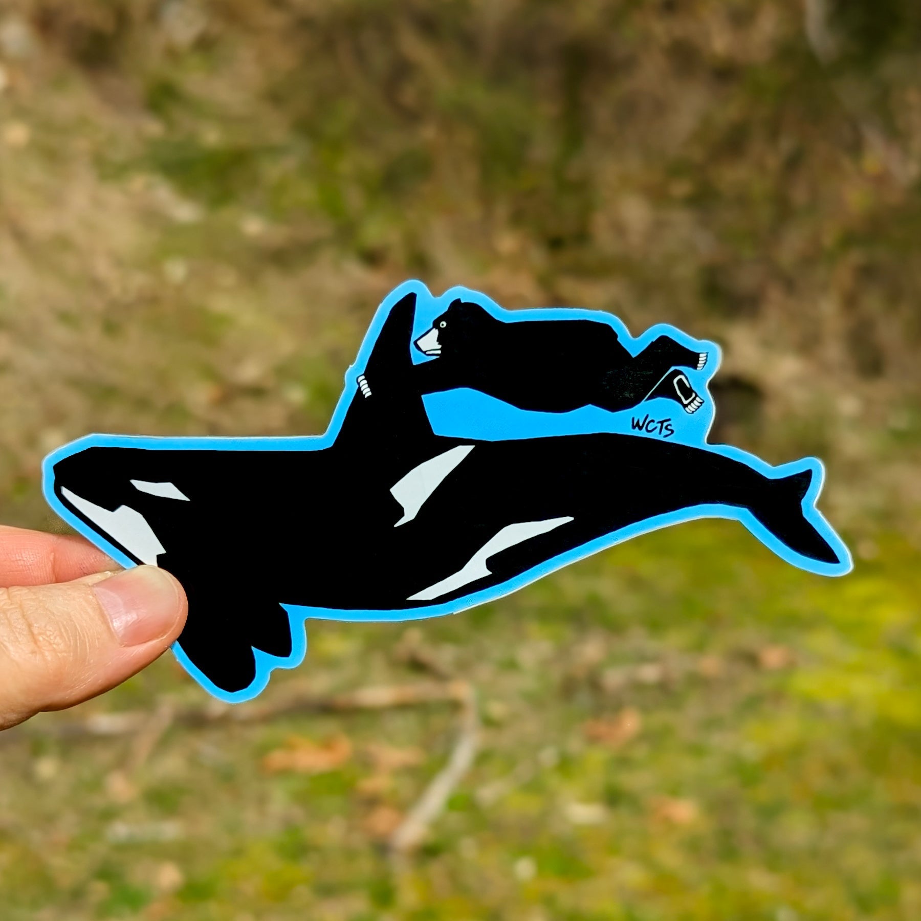 Westcoastees Orca Ride Sticker - Westcoastees Orca Ride Sticker -  - House of Himwitsa Native Art Gallery and Gifts