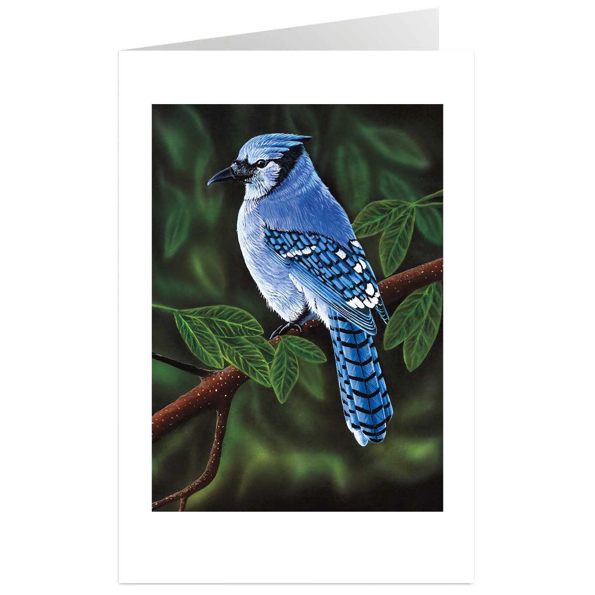 Art Card Ronnie Simon Perched -  - Art Card - House of Himwitsa Art Gallery