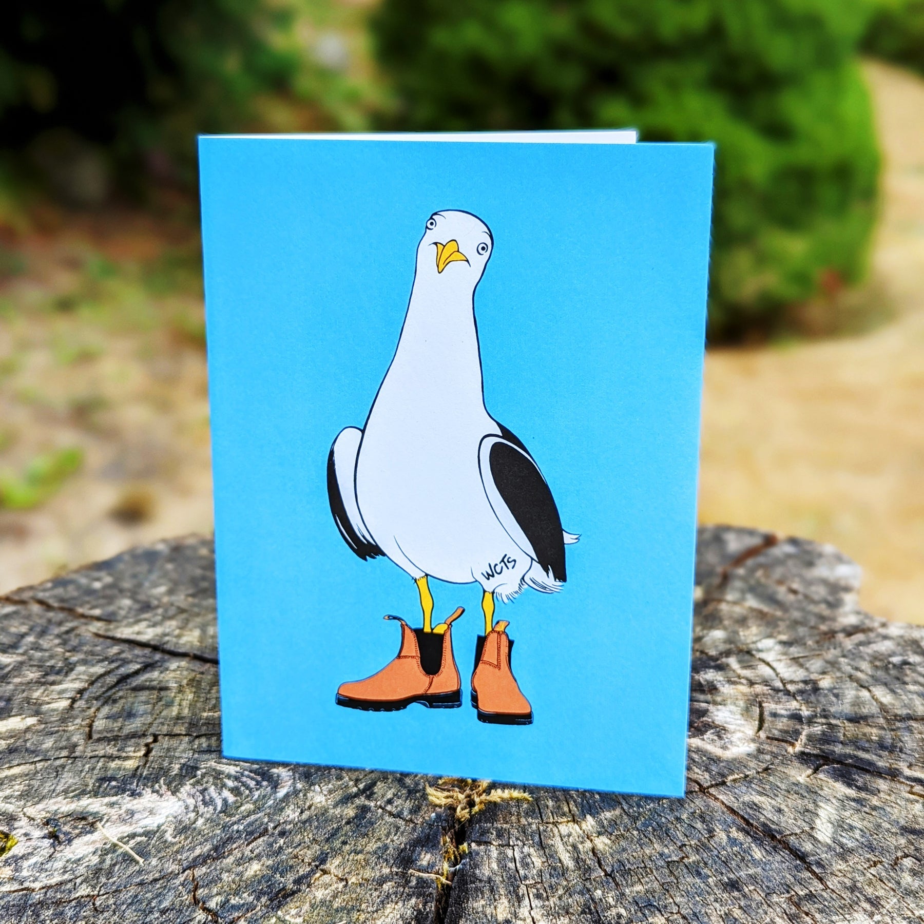 Westcoastees Seagull Art Card - Westcoastees Seagull Art Card -  - House of Himwitsa Native Art Gallery and Gifts