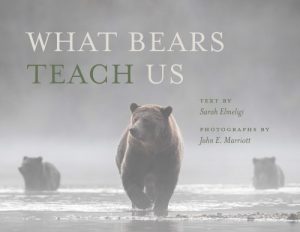 What Bears Teach Us - What Bears Teach Us -  - House of Himwitsa Native Art Gallery and Gifts