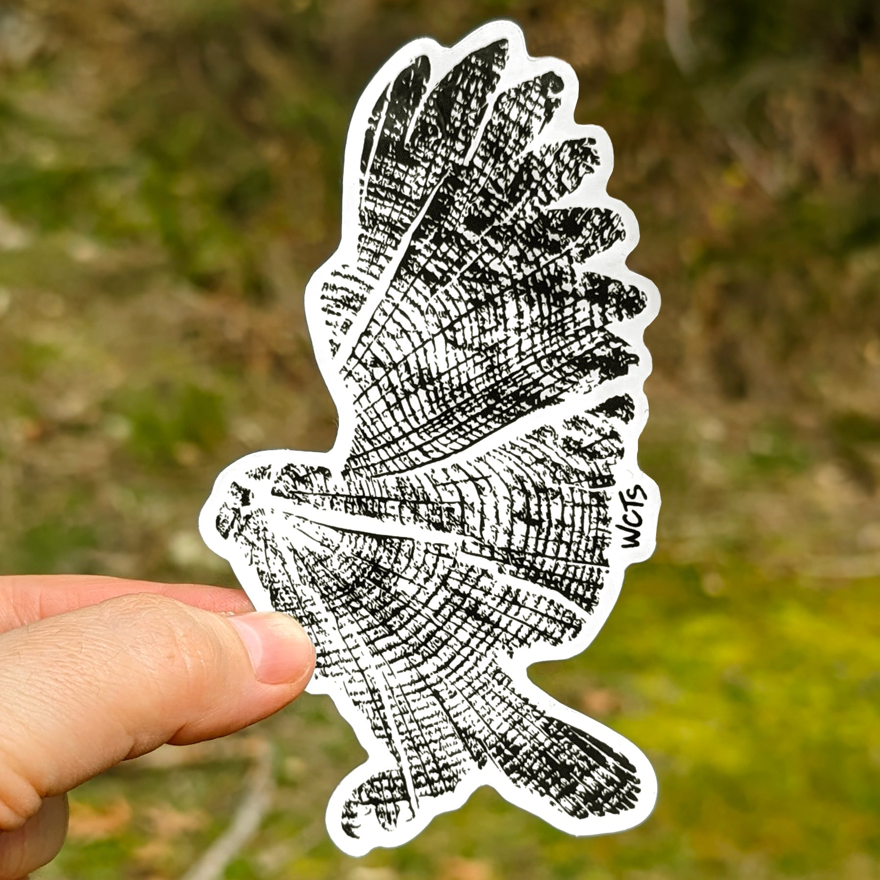 Westcoastees Wood Owl Sticker - Westcoastees Wood Owl Sticker -  - House of Himwitsa Native Art Gallery and Gifts