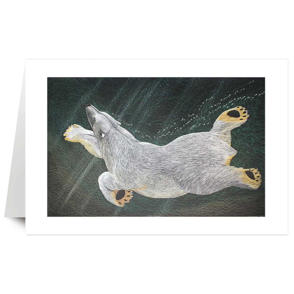 Art Card Tim Pitsiulak Swimming Bear -  - Art Card - House of Himwitsa Art Gallery