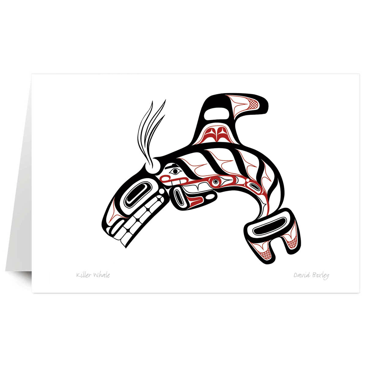 Art Card David Boxley Killer Whale -  - Art Card - House of Himwitsa Art Gallery