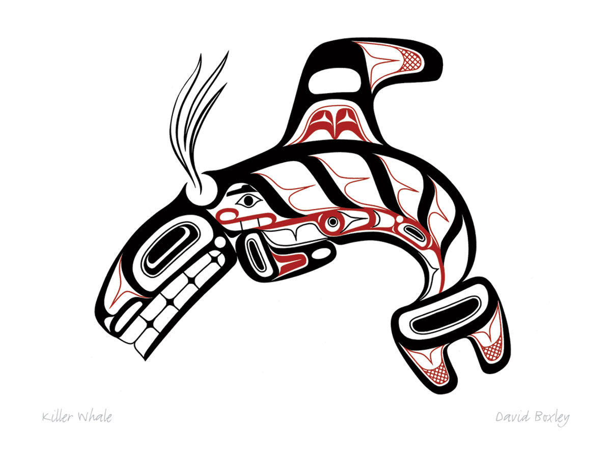 Art Card David Boxley Killer Whale - Art Card David Boxley Killer Whale -  - House of Himwitsa Native Art Gallery and Gifts