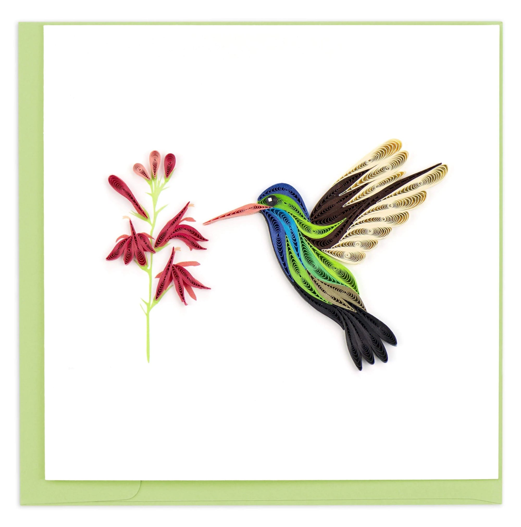 Quilling Art Card Broad-Billed Hummingbird