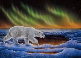 Magnet Ronnie Simon Polar Night -  - Magnet - House of Himwitsa Art Gallery