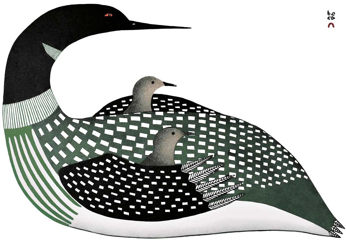 Magnet NT Cradled Loons - Magnet NT Cradled Loons -  - House of Himwitsa Native Art Gallery and Gifts