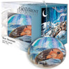 Assorted Glass Ornaments