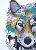 MATTED ART CARDS MICQAELA JONES - Alpha - POD1772M - House of Himwitsa Native Art Gallery and Gifts