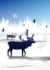 Gift Card Caribou Winter - Gift Card Caribou Winter -  - House of Himwitsa Native Art Gallery and Gifts