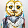 MATTED ART CARDS MICQAELA JONES - Barn Owl - POD2144M - House of Himwitsa Native Art Gallery and Gifts