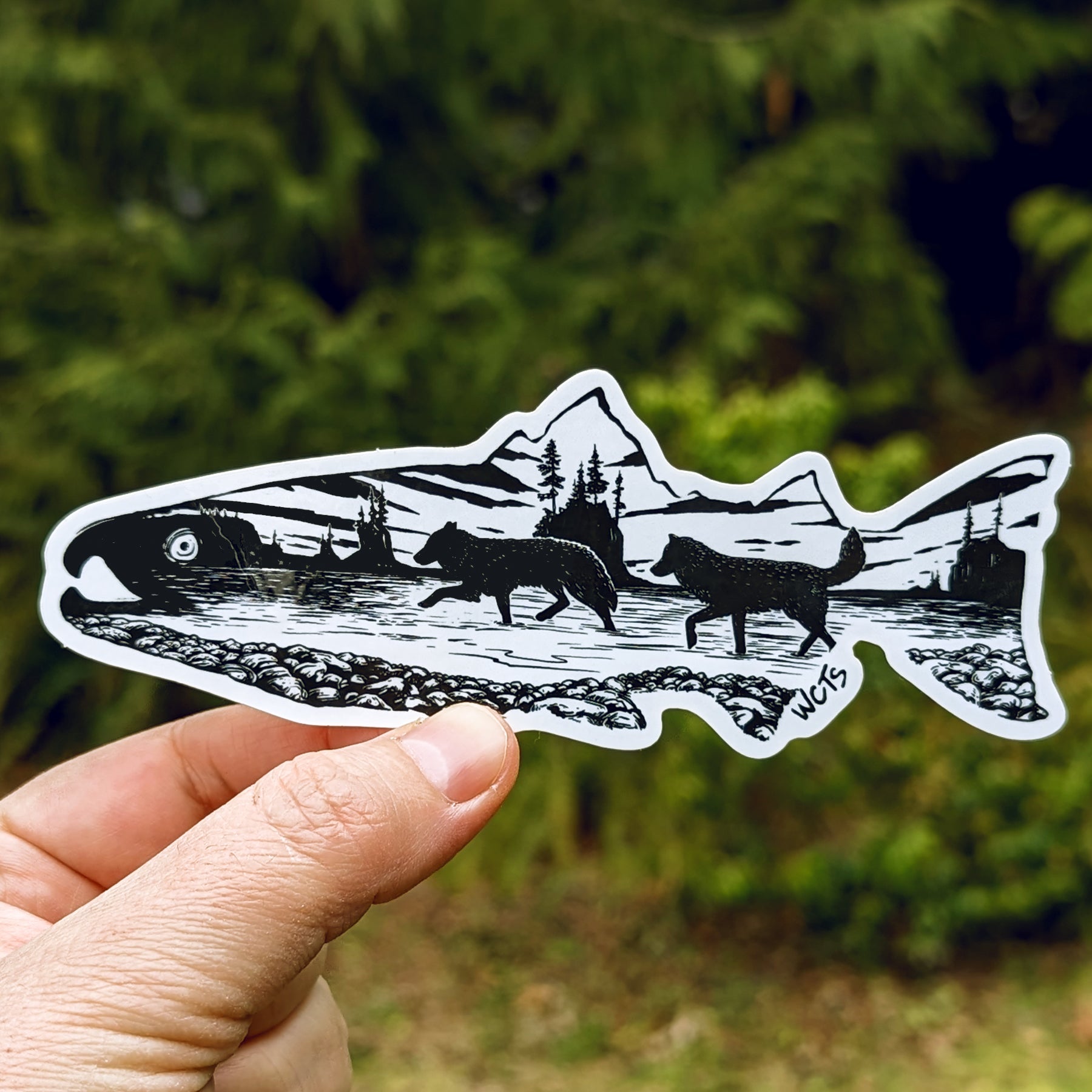 Westcoastees Sea Wolves Sticker - Westcoastees Sea Wolves Sticker -  - House of Himwitsa Native Art Gallery and Gifts